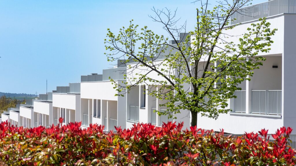 487.Aedas78_Zimara_11