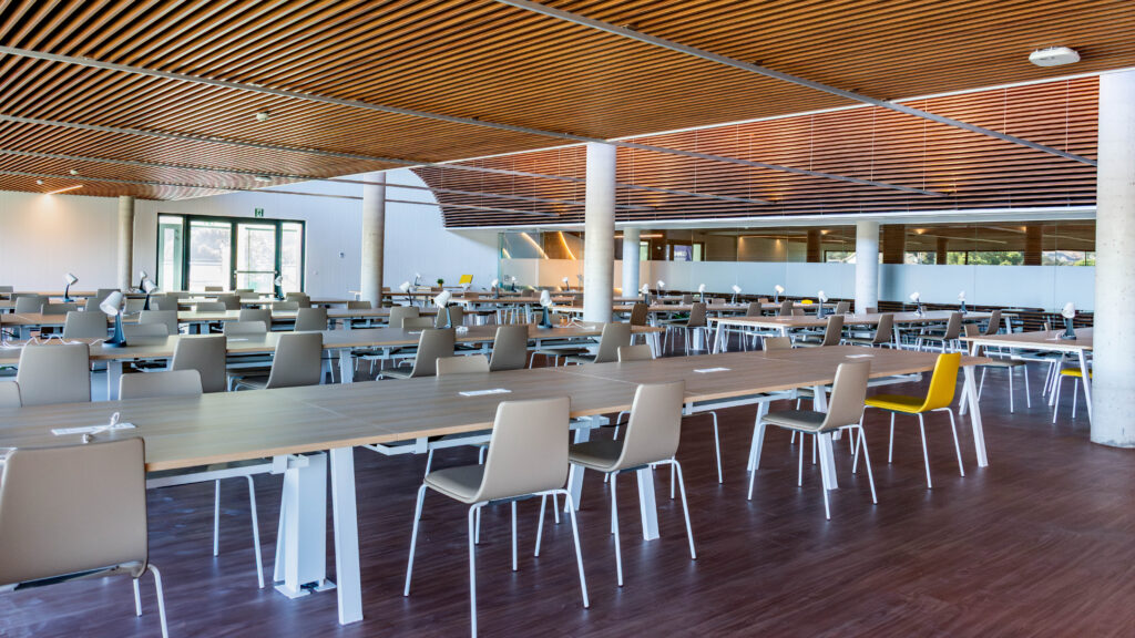 DSC_3716-Mejorado-NR